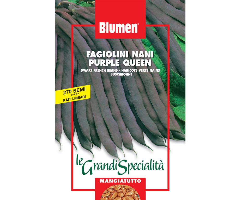 Fagiolini nani purple queen.