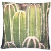 Cuscino cactus cm 45x45 n1.
