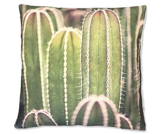 Cuscino cactus cm 45x45 n1.