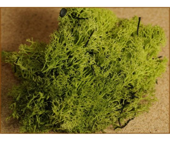 Busta lichene verde 30 g.