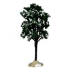 Balsam fir tree