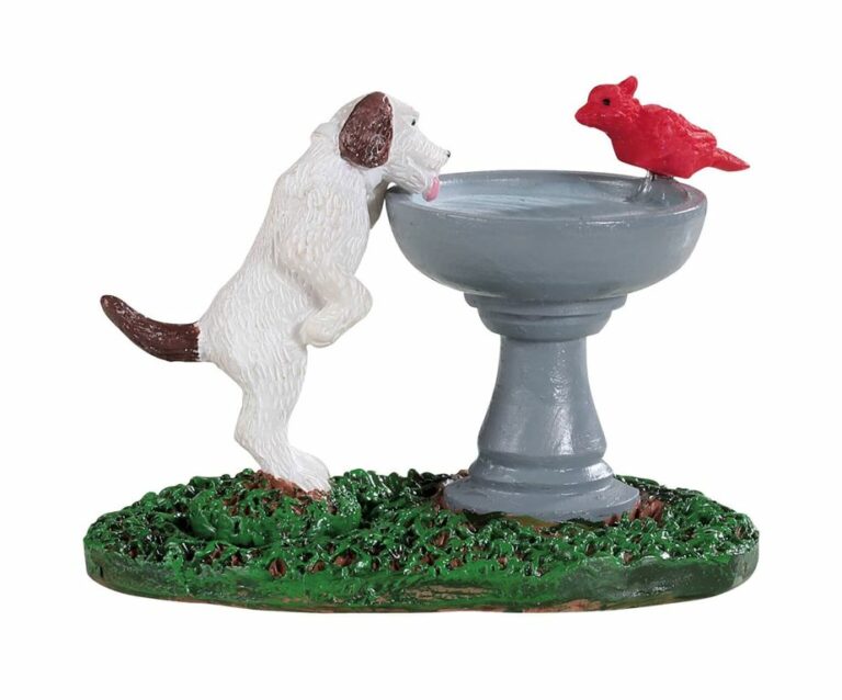 Bird bath dog fountain.