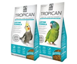 Tropimix per piccoli pappagalli è un mix di cibo intero di prima qualità composto da cereali esotici