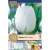 Tulipa Royal Virgin 10 Pz