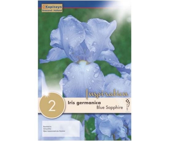 Iris Germanica Blue Sapphire 2 Pz