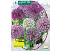 Allium Mix Paars-wit 15 Pz