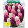 Hyacinth Mix Pink 12 Pz