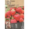 Strawberry Elsanta 2 Pz