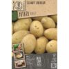 Seed-potato Bintje 10 Pz