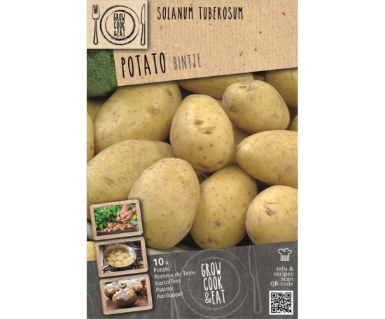 Seed-potato Bintje 10 Pz