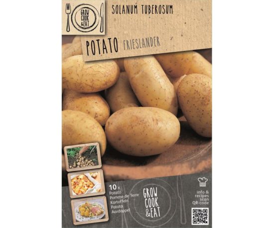 Seed-potato Frieslander 10 Pz