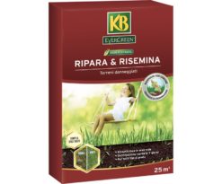Kb evergreen ripara & risemina 500 g.