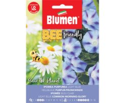 Blumen Bee Ipomea Purpurea Light Blue
