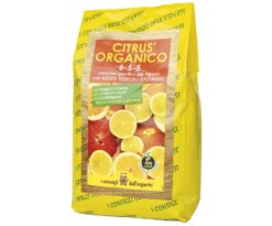 Citrus Organico 1