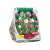Fritillaria Meleagris 30 Pz
