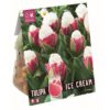 Tulip Double Ice Cream - Corn Of Flavour Tulip 5 Pz