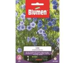 Blumen Lino Ornamentale Blu