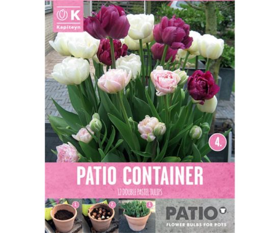 Garden Container Pack Tulip Double Pink