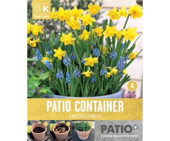 Garden Container Pack Narcissus & Muscari 25 Pz