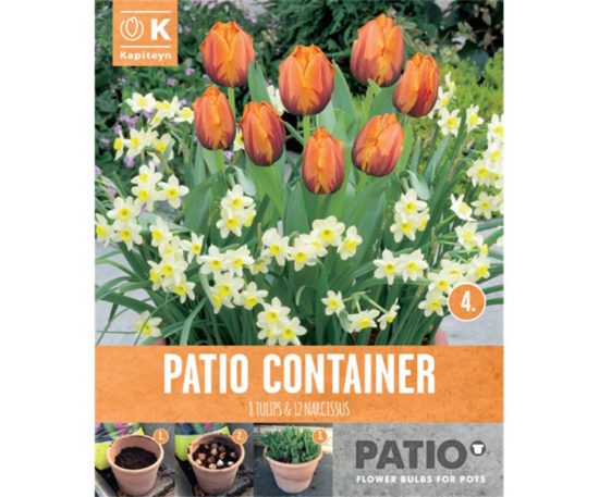 Garden Container Pack Tulip Orange & Narcissus Cream 20 Pz