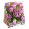 Tulip Double Wedding Bouquet-something Blue 10 Pz