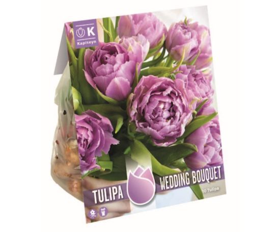 Tulip Double Wedding Bouquet-something Blue 10 Pz