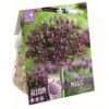 Allium Magic Metallic Violet With Green Sprinkles 6 Pz