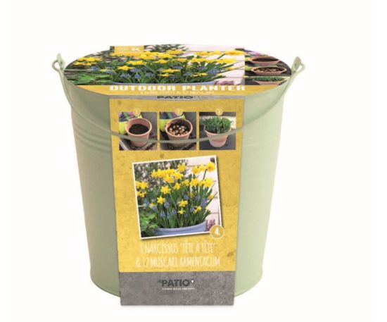 Outdoor Planter Narcissus & Muscari 20 Pz