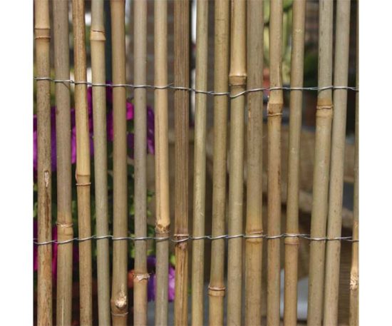 Arella bamboo naturale a canna grossa legata con filo ferro.