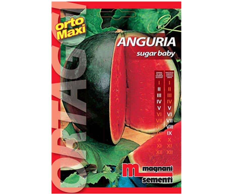 Anguria sugar baby è un frutto ovale di grosse dimensioni (9-10 kg)