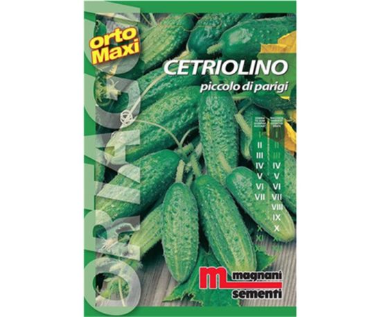 Cetriolino piccolo è una varietà precoce molto produttiva con ramificazioni fino a 2 m.