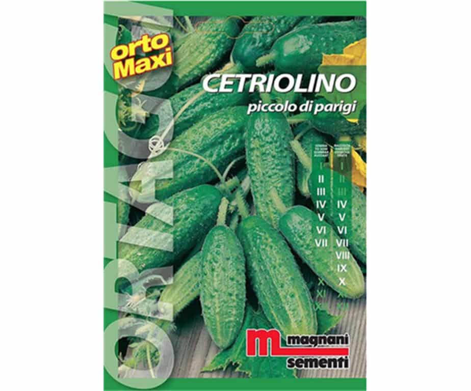 Cetriolino piccolo è una varietà precoce molto produttiva con ramificazioni fino a 2 m.