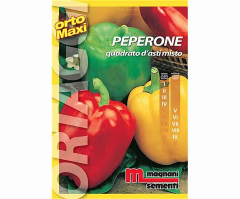 Peperone quadrato d`Asti è una pianta vigorosa con frutti voluminosi quadrilobati di colore verde che diventano poi gialli e rossi a maturazione.