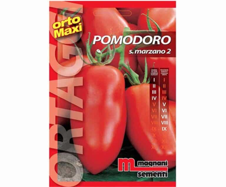 Pomodoro S.Marzano 2 dal colore rosso intenso ha il frutto cilindrico allungato di media pezzatura