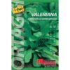 Valeriana d`Olanda a seme grosso è una pianta con foglie oblunghe