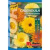 Calendula è una pianta molto rustica che si propaga spontaneamente con facilità.
