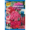Garofano è una pianta biennale a portamento eretto con infiorescenze compatte che formano un mazzetto