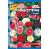Margheritina doppia è una pianta biennale dal portamento nano particolarmente adatta a bordure.