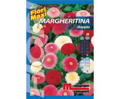 Margheritina doppia è una pianta biennale dal portamento nano particolarmente adatta a bordure.