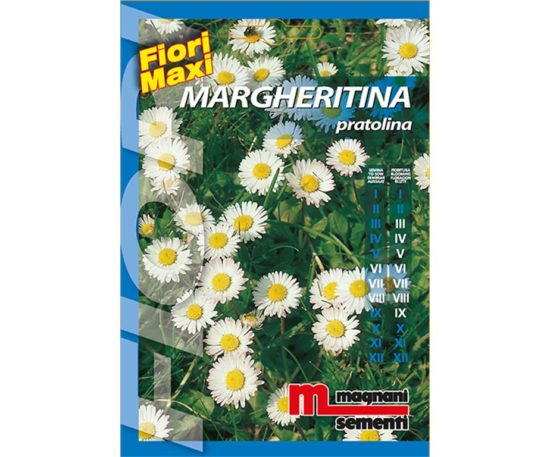Margheritina pratolina è una pianta perenne dal comportamento nano