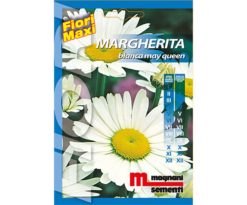 Margherita mayqueen è una pianta perenne dal portamento eretto semi cespuglioso