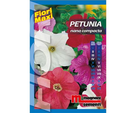 Petunia nana compacta è una pianta annuale dal portamento eretto