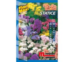 Statice è una pianta rustica di facile coltivazione i cui fiori si prestano per essere essiccati.