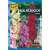 Violaciocca nana è una pianta biennale dal portamento nano dai caratteristici fiori a spiga ideale per bordure.