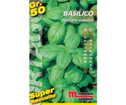 Basilico italiano classico è una varietà della tipologia "Genovese" con foglie ovali a cucchiaio di colore verde medio intensamente profumate.