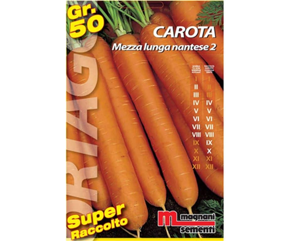 La carota mezza lunga nantese ha radice cilindrica