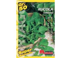 Rucola coltivata è una pianta annuale dalle foglie lobate lunghe 10-15 cm e dal caratteristico sapore leggermente amaro e piccante.