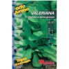 Valeriana d`Olanda seme grosso è una pianta con foglie oblunghe