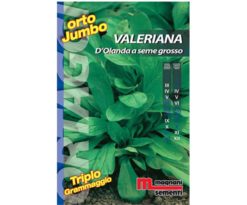 Valeriana d`Olanda seme grosso è una pianta con foglie oblunghe
