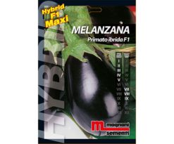 Melanzana è una pianta molto produttiva caratterizzata da estrema rusticità.
